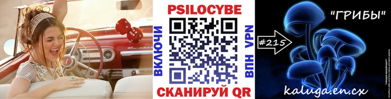 сколько стоит  Александровск  hydra как войти  Галлюциногенные грибы Cubensis 